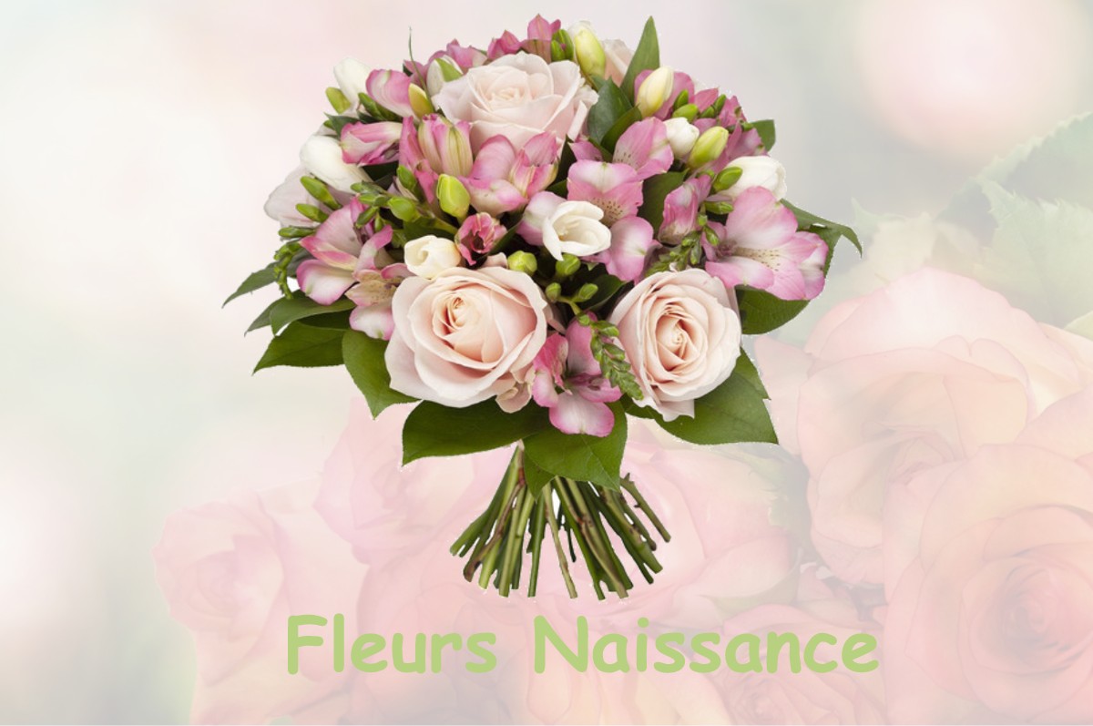 fleurs naissance SAINT-CIRGUES-DE-MALBERT